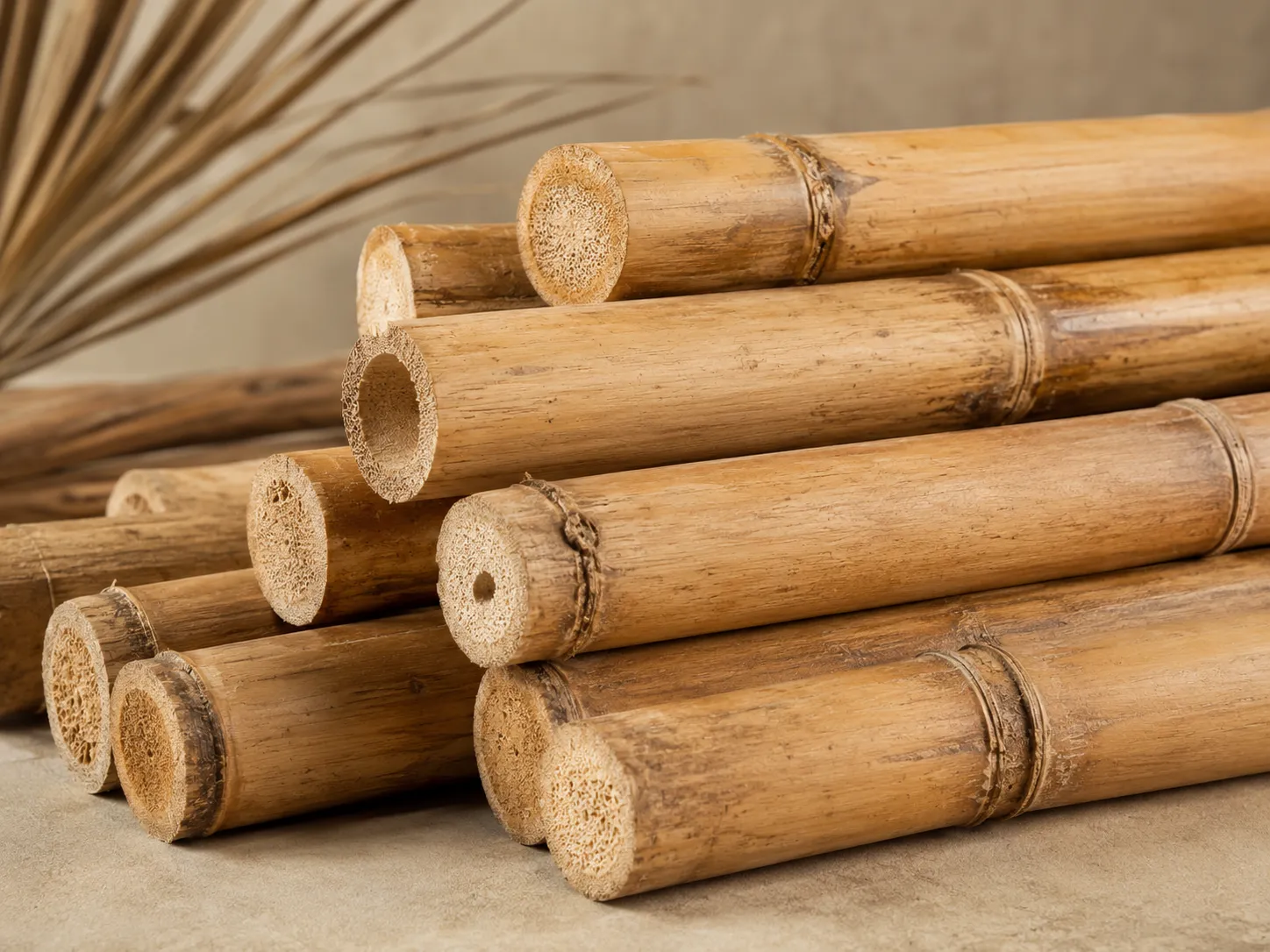Rattan Manau